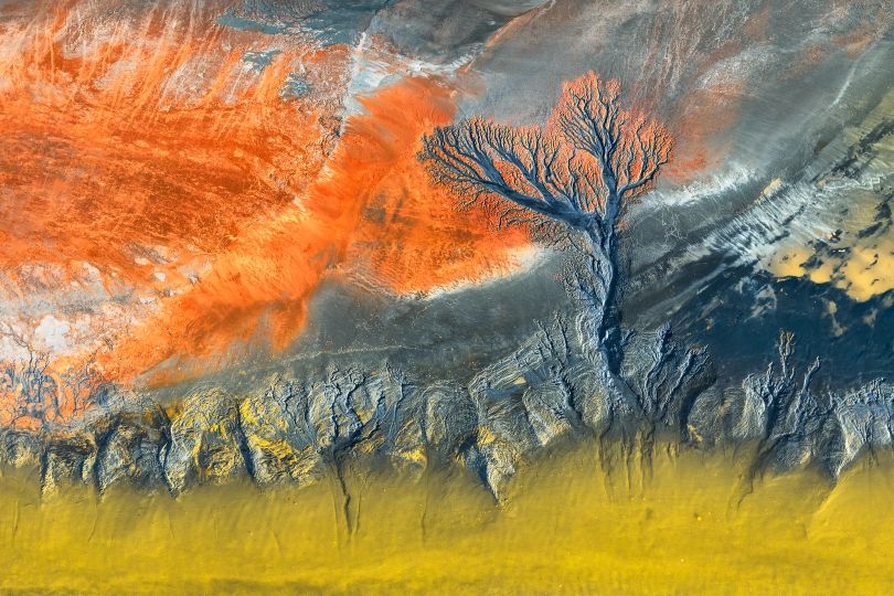 Arborele lui Hades
