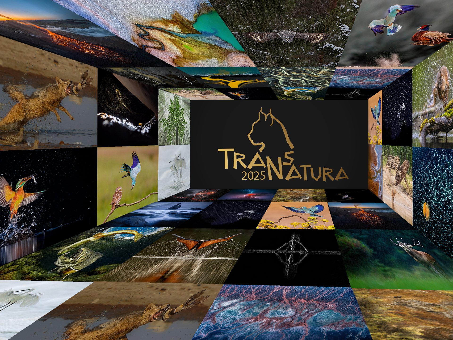 Transnatura